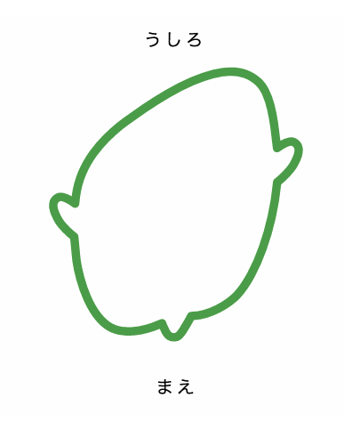 赤ちゃんの頭のかたち外来-斜頭症