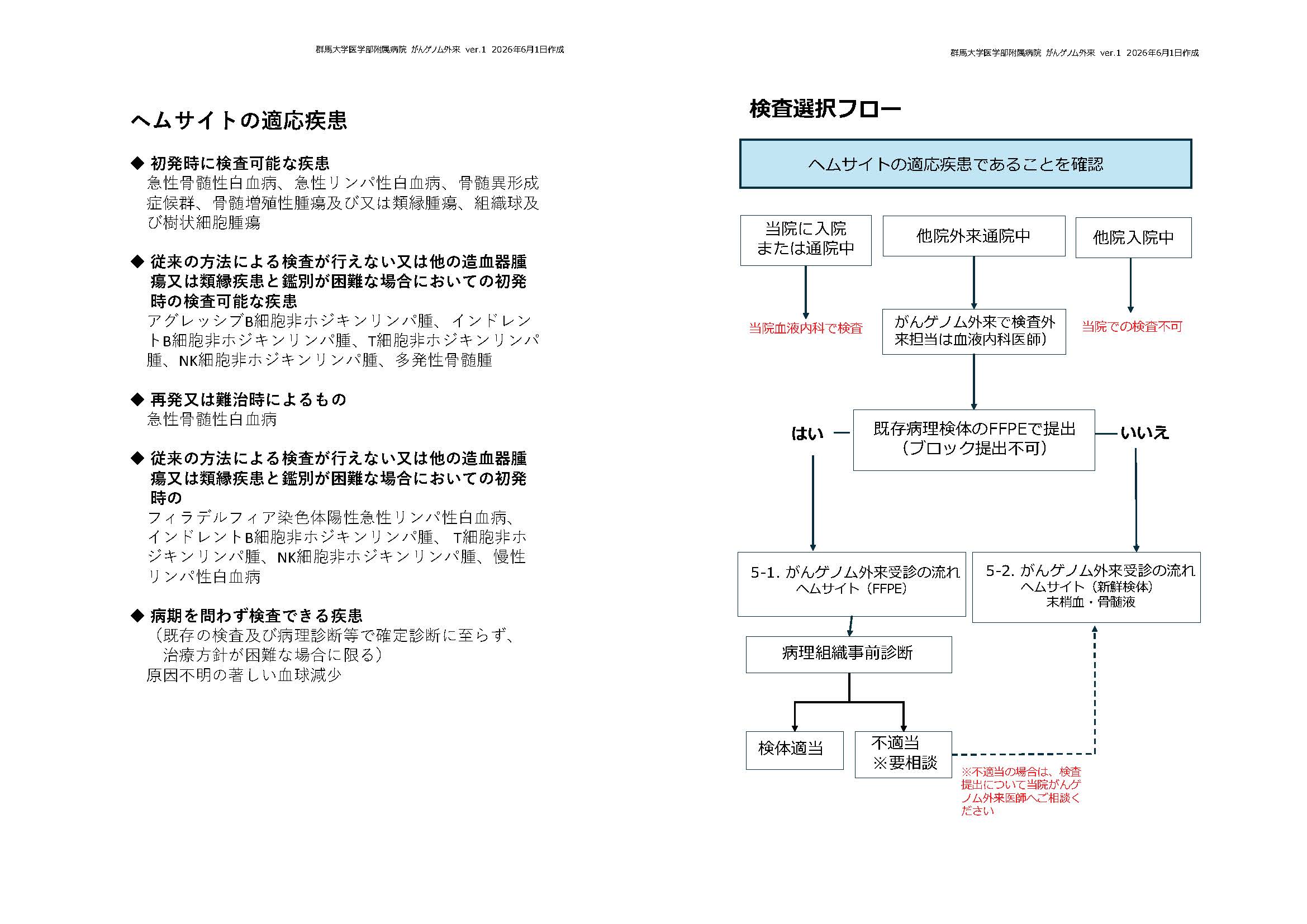 がん遺伝子パネル検査選択フロー（血液がん）【参考資料4】